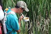 Man testing for West Nile disease in a swampy area. 